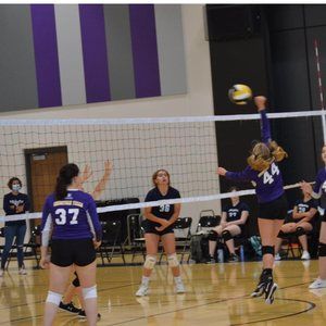 Meet your Posher, Elyse